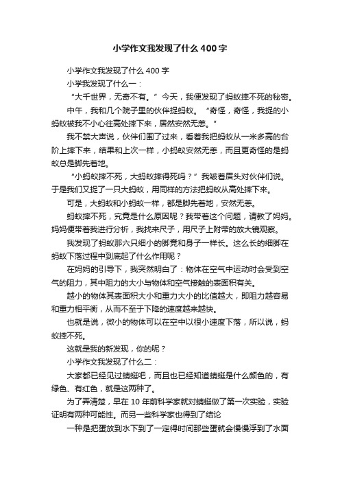 小学作文我发现了什么400字