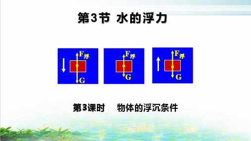 浙教版科学八年级上《水的浮力》ppt优质课件1