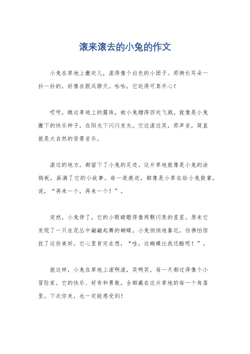 滚来滚去的小兔的作文