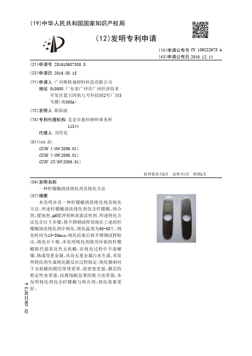 一种柠檬酸清洗钝化剂及钝化方法[发明专利]