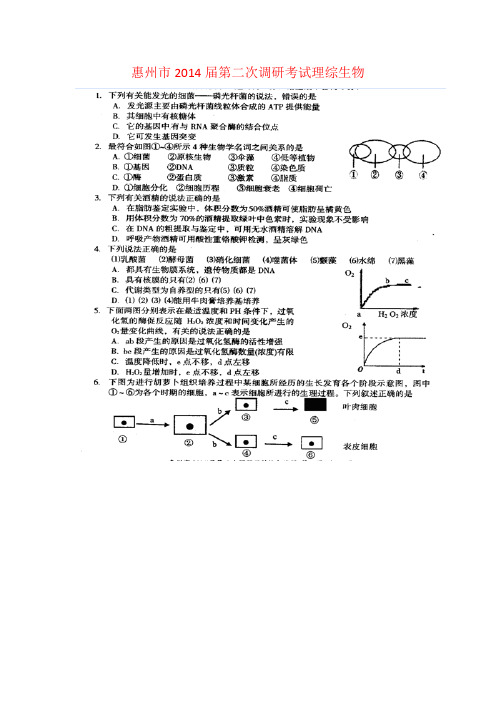 广东省惠州市高三生物上学期第二次调研试题(扫描版)新