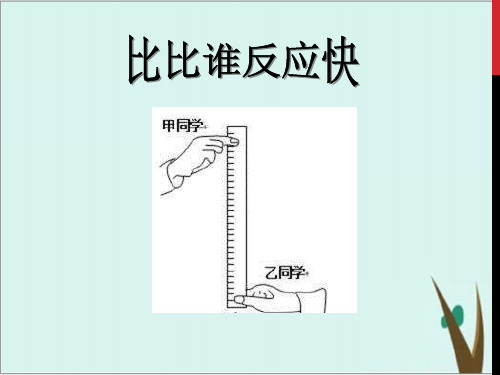 《自由落体运动》人教版高中物理ppt课件1