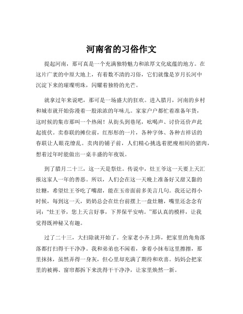 河南省的习俗作文