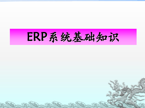 《ERP系统基础知识》PPT课件