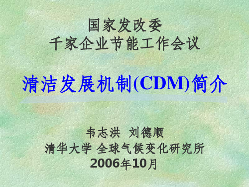 《小型CDM项目》