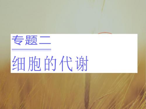 2017版高考生物大二轮复习课件:专题二 细胞的代谢 第1讲 酶与ATP 精品