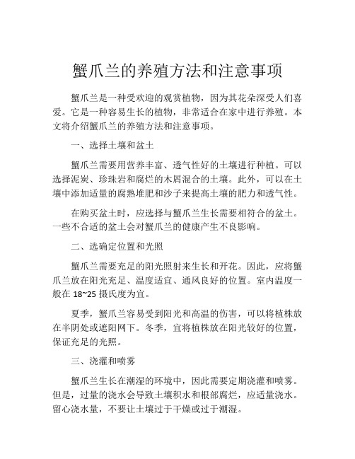 蟹爪兰的养殖方法和注意事项