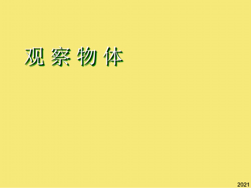 新人教版小学数学二年级上册《观察物体》完美版资料