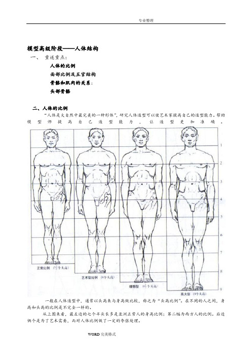 模型高级课件_人体结构