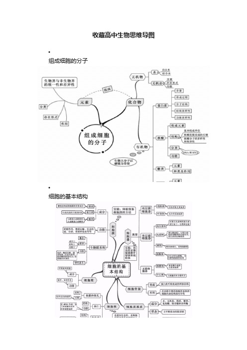 收藏高中生物思维导图