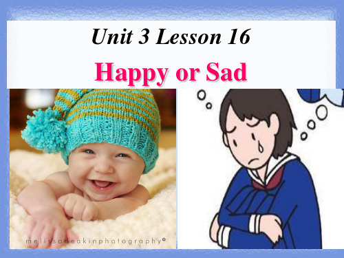 冀教版七年级英语上册  Unit 3 Lesson 16Happy or Sad(共22张PPT)