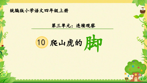 人教部编版小学四年级语文上册《爬山虎的脚》优质课件