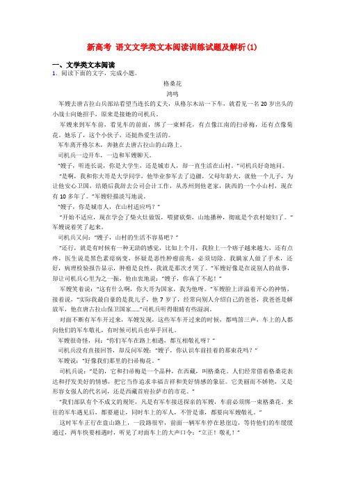 新高考 语文文学类文本阅读训练试题及解析(1)