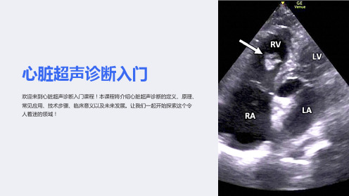 心脏超声诊断入门