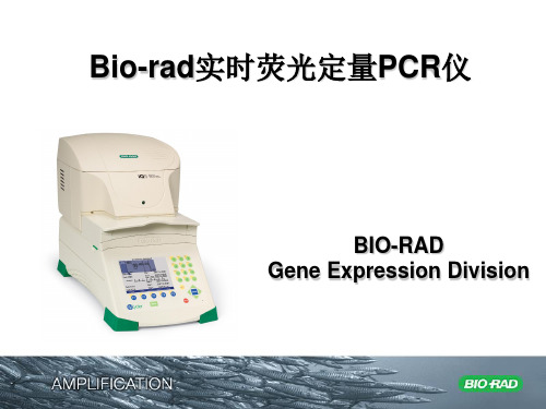 Bio-Rad定量PCR说明书.ppt