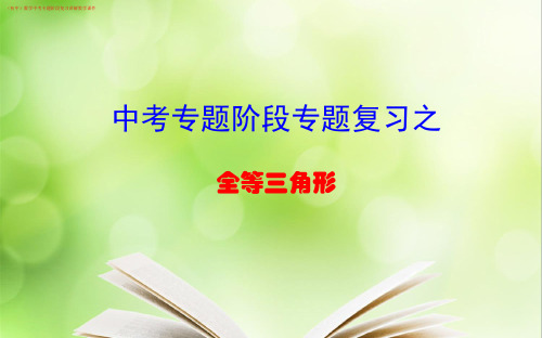 (初中)九年级数学《全等三角形》中考专题阶段复习讲解教学课件