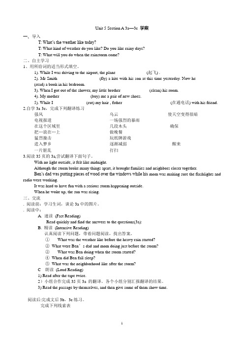 2014新目标八下U-5 what were you doing when the rainstorm came学案 Section A 3a-3c 学案