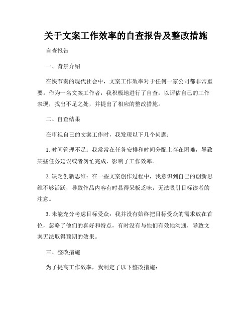 关于文案工作效率的自查报告及整改措施