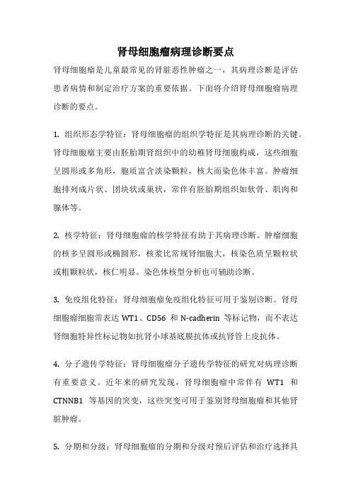 肾母细胞瘤病理诊断要点