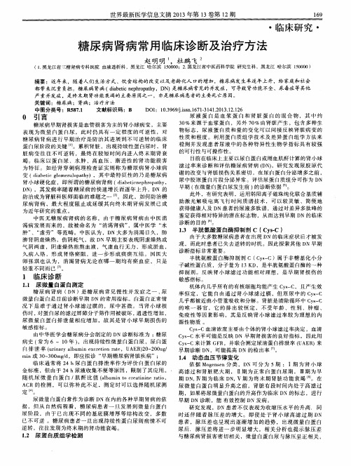 糖尿病肾病常用临床诊断及治疗方法