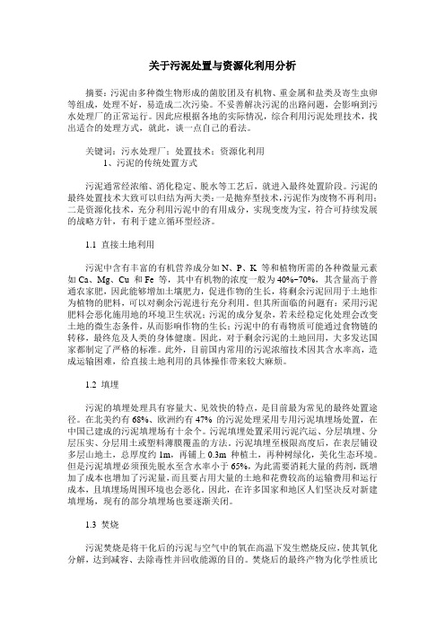 关于污泥处置与资源化利用分析