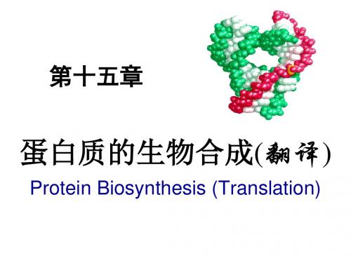 Ch15-Gangan生化课件- 蛋白质的生物合成