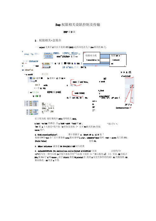 SAP权限设置控制和传输