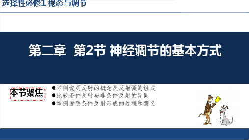 2.2 神经调节的基本方式(课件)高二生物上学期课件(2019人教版选择性必修1)