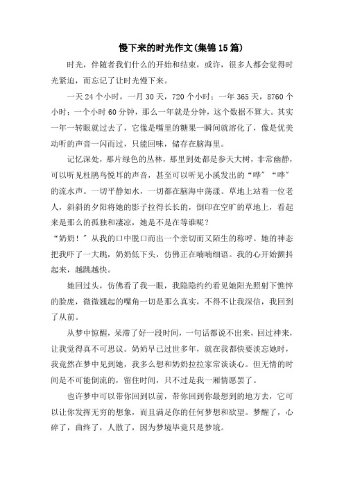 慢下来的时光作文(集锦15篇)范文