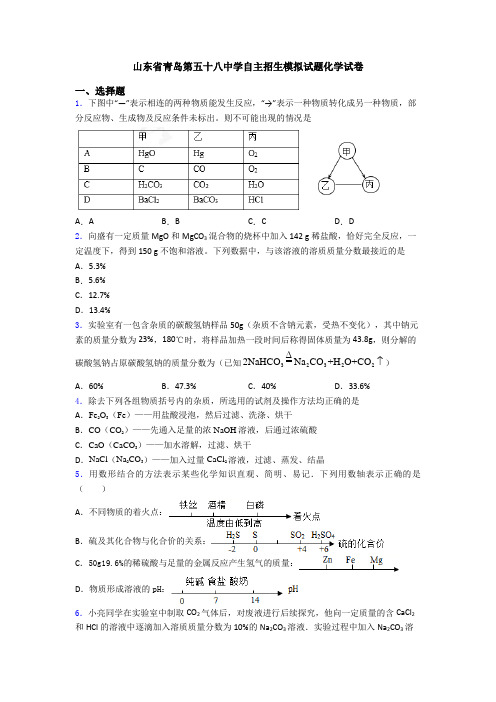 山东省青岛第五十八中学自主招生模拟试题化学试卷