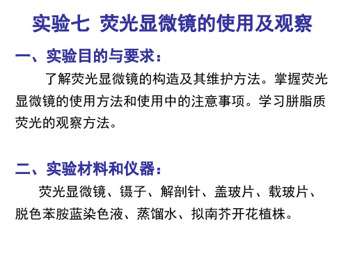 实验七荧光显微镜的使用及观察