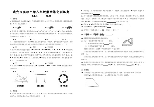 黄冈市武穴市实验中学 八年级数学培优训练题 10.19