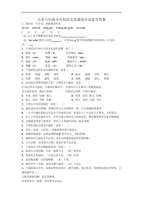 小学六年级小升初语文质量综合试卷含答案