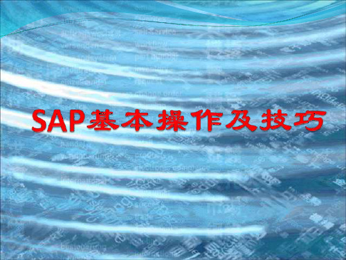 SAP基本操作及技巧(PPT43页)(2024版)