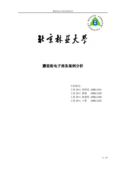 蘑菇街电子商务案例分析报告最终版 精品