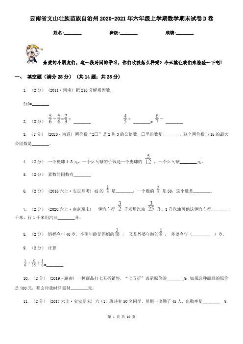 云南省文山壮族苗族自治州2020-2021年六年级上学期数学期末试卷D卷