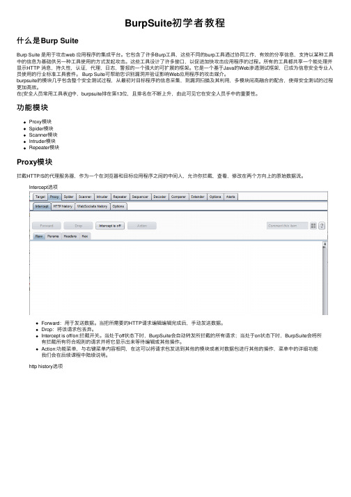 BurpSuite初学者教程