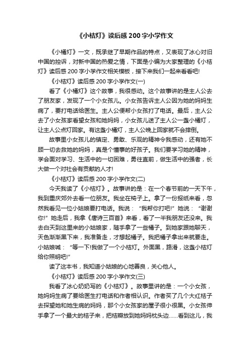 《小桔灯》读后感200字小学作文