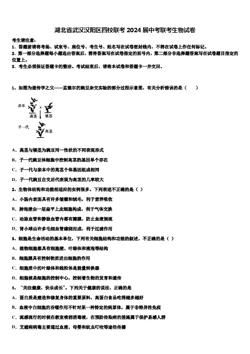 湖北省武汉汉阳区四校联考2024届中考联考生物试卷含解析