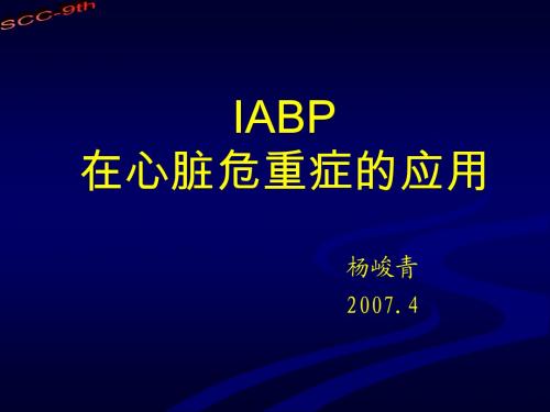 IABP2007-1