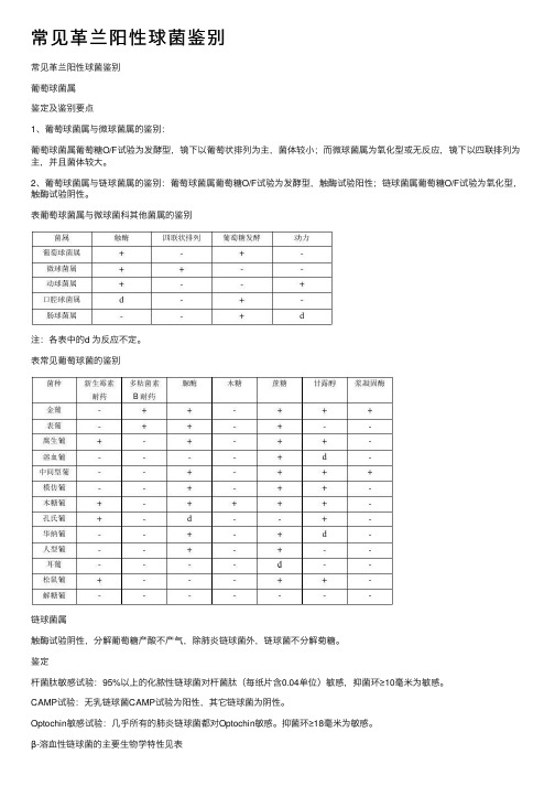 常见革兰阳性球菌鉴别