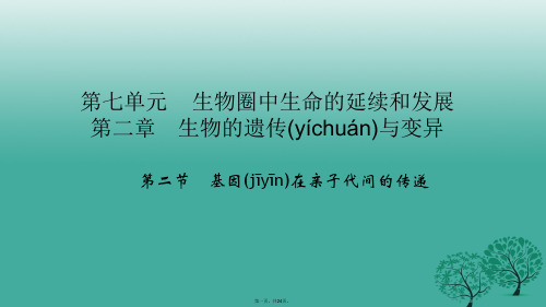 八年级生物下册第七单元第二章第二节基因在亲子代间的传递课件(新版)新人教版[1]