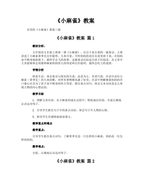 《小麻雀》教案