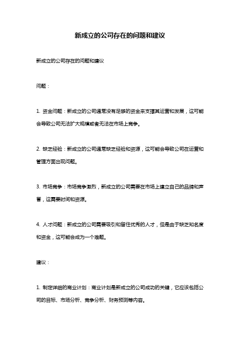 新成立的公司存在的问题和建议