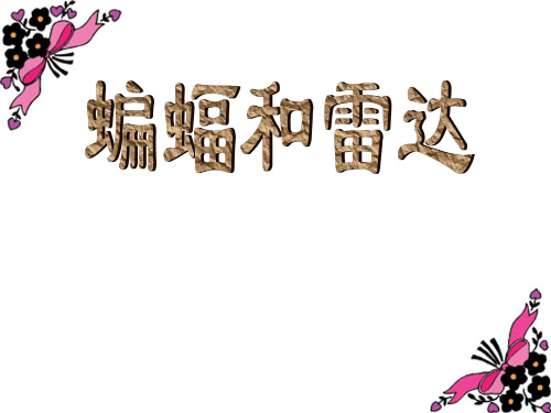 11人教版四年级语文下册《蝙蝠和雷达》课件PPT(福利篇)