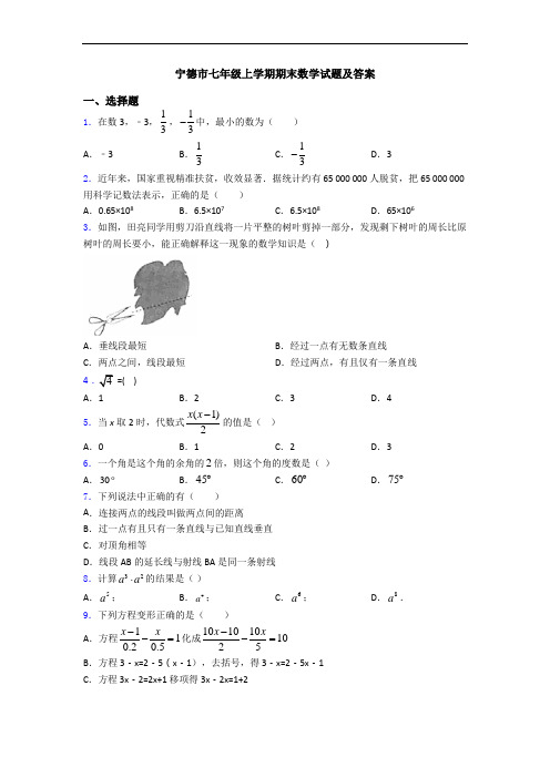 宁德市七年级上学期期末数学试题及答案