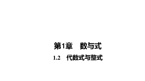 2024年福建省中考数学一轮知识点梳理复习课件+1.2 代数式与整式