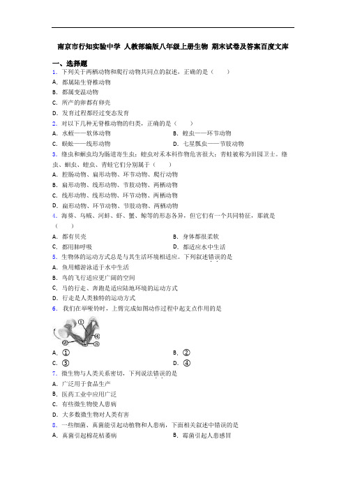 南京市行知实验中学 人教部编版八年级上册生物 期末试卷及答案百度文库