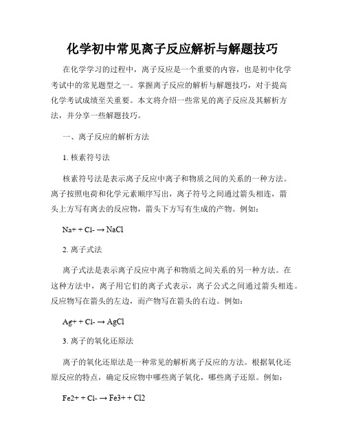 化学初中常见离子反应解析与解题技巧