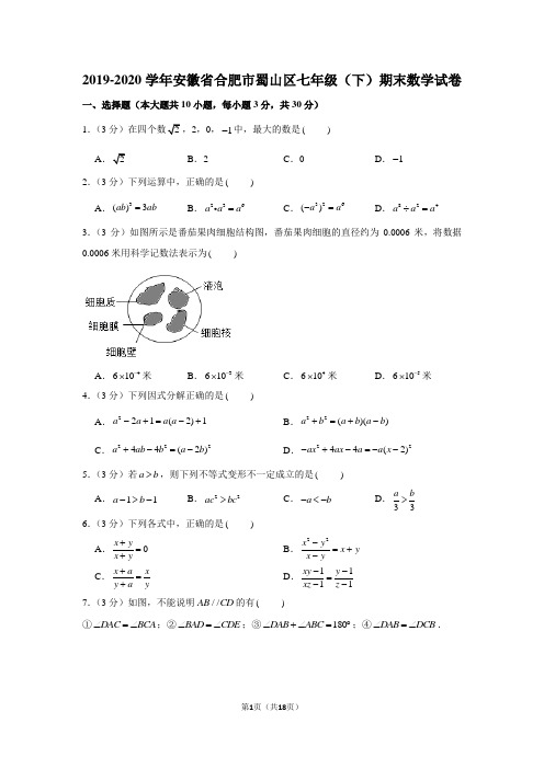 2019-2020学年安徽省合肥市蜀山区七年级(下)期末数学试卷